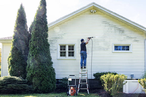 Best Building Exterior Washing  in Bellevue, NE